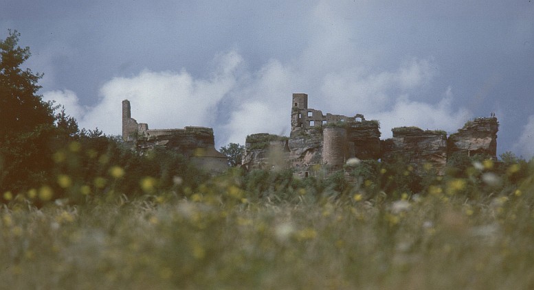 Burgruine Altdahn...